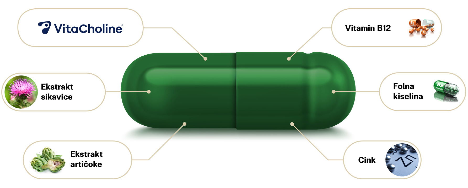 Kapsule Hepactum™ FORTE