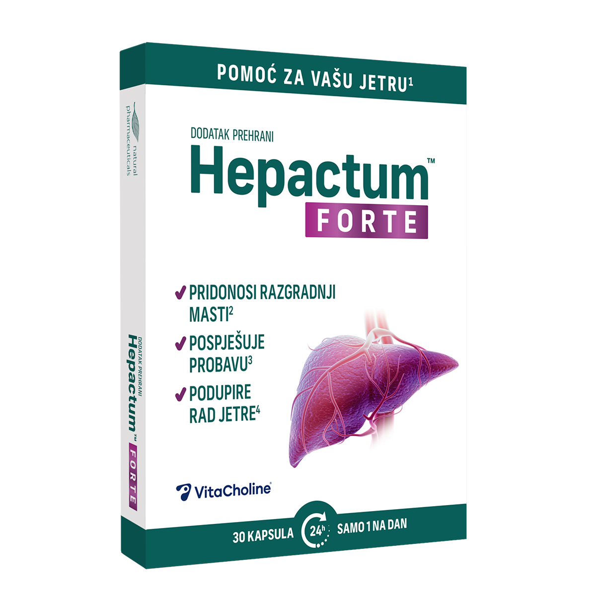 Hepactum